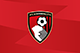 Adams goal ends Cherries' unbeaten run