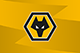 Wolves pencil in Molineux pre-season friendly